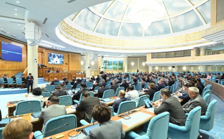 Парламент «Президент туралы» конституциялық заң қабылдады