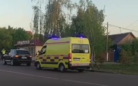 Петропавлда 12 жастағы мектеп оқушысын көлік қағып, қаза тапты
