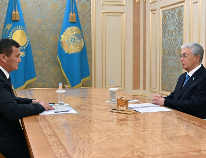 Тоқаев Нәлібаевты қабылдады