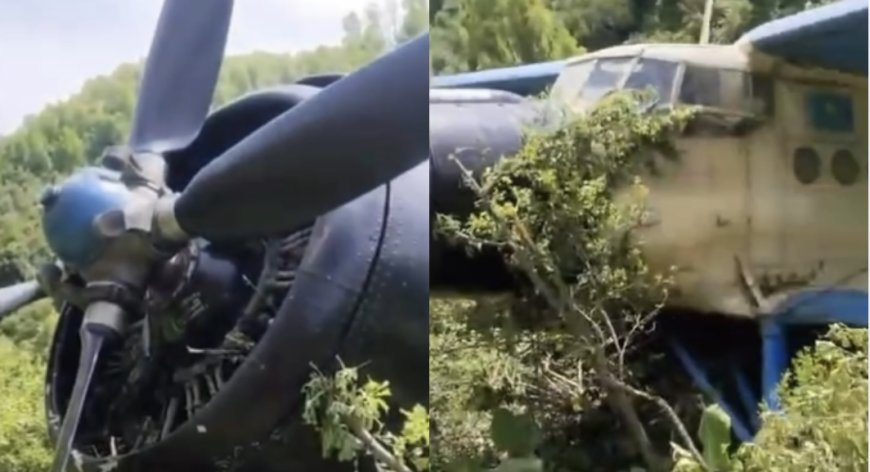Алматы облысында Ан-2 ұшағы апатты жағдайда қонды
