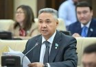 Азат Перуашев өз өкілеттігін тоқтататынын мәлімдеді