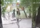 Жетісу облысында қураған ағаш бұтағы жас қыздың басына құлады
