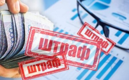 Павлодар облысында ауыл әкіміне айыппұл салынды