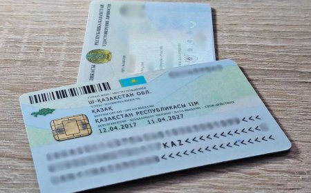 Қазақстанға келмей-ақ ЖСН алған: Астанада заңсыз схема әшкереленді