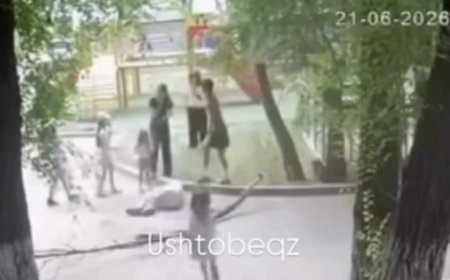 Жетісу облысында қураған ағаш бұтағы жас қыздың басына құлады