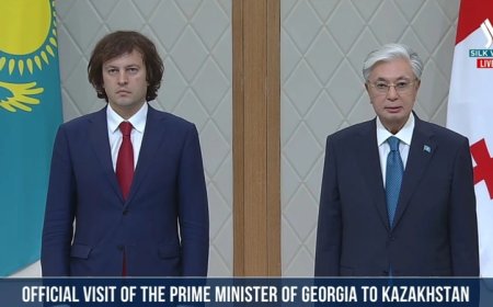 Тоқаев Тәуелсіздік сарайында Грузия Премьер-министрін қарсы алды