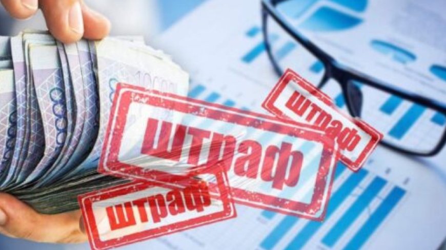 Павлодар облысында ауыл әкіміне айыппұл салынды