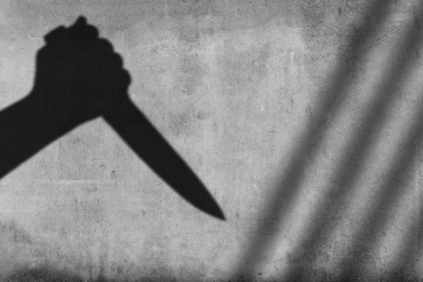 Жетісу облысында ер адамды әйелі пышақтап өлтірді