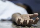 Түркісб ауданында жертөледен мәйіт табылды