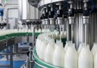 Шымкентте жоқ сүтке 5 миллиард субсидия бөлінген