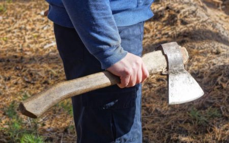 Астана маңында төрт адамды балталап өлтірген ер адам түрмеде отырмайтын болды