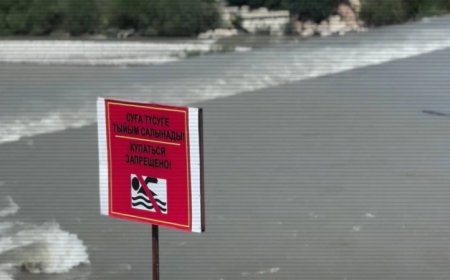 Шомылу маусымы басталғалы бері 69 бала суға батып қаза тапты - ІІМ