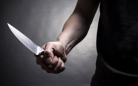 Солтүстік Қазақстан тұрғыны өз әжесін пышақтап өлтірді
