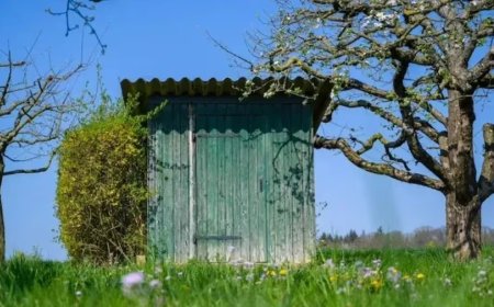 Түркістан облысында қараусыз қалған 2 жасар бала әжетханаға құлап, көз жұмды