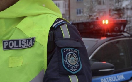 Түркістан облысында анасын өлтірді деген күдікпен ер адам ұсталды