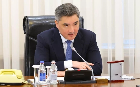 «Сізден басқаның бәрі кінәлі сияқты»: Бектенов әкімге қатаң ескерту жасады