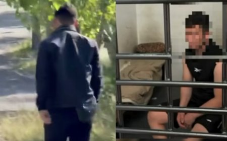 Астанадағы саябақта қызға шабуыл  жасаған ер адам ұсталды