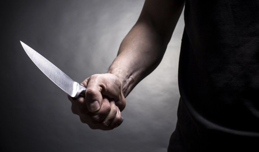 Солтүстік Қазақстан тұрғыны өз әжесін пышақтап өлтірді