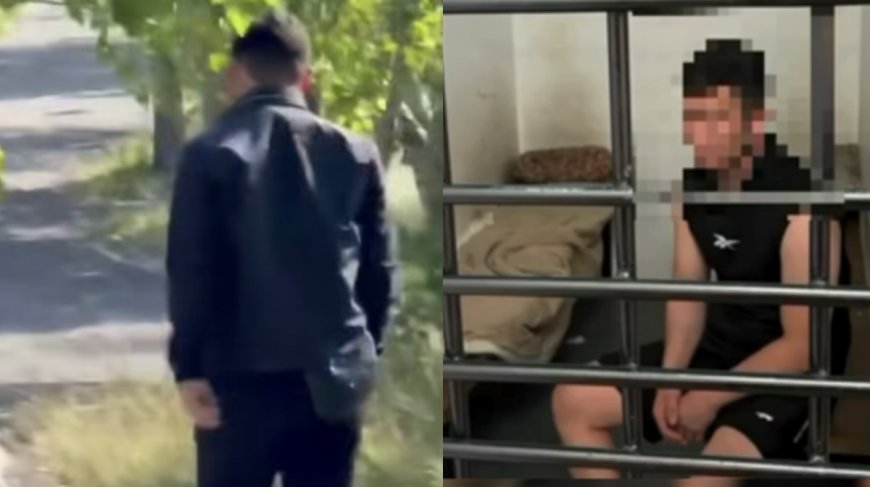 Астанадағы саябақта қызға шабуыл  жасаған ер адам ұсталды