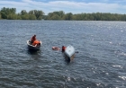 Өскеменде Ертіс өзеніне секірген ер адамның денесі табылды