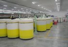 Түркістанның агроөнеркәсіптік серпіні: ауыл шаруашылығы 2,2 есе өсіп, өңір елдің азық-түлік қауіпсіздігінің тірегіне айналды