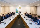 Түркістан облысында шегірткеге қарсы препараттардың сапасы қатаң бақылауға алынып, жұмыс жандана түсті