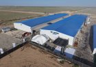 Түркістанда ламинат өндіретін заманауи зауыт іске қосылды