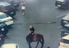 Бәйтерек маңында атпен жүрген ер адам жауапқа тартылды