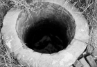 Оралда 8 жасар бүлдіршін оқыс оқиғаның құрбаны болды