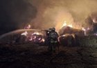 Ақмолада 75 тонна жем-шөп жанып кетті