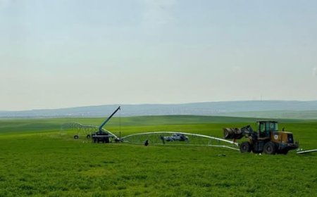 Түркістан: биыл Қазығұртта 16 ірі инвестициялық жобаны іске асырып, 300-ден астам жаңа жұмыс орнын құру көзделіп отыр