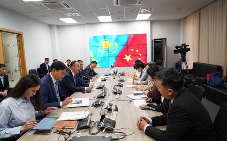 Түркістан мен Қытай ынтымақтастығы жаңа кезеңге өтпек: инвестиция, өндіріс және туризм бағытындағы жобалар талқыланды