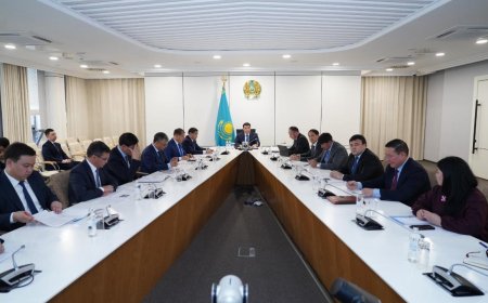 Түркістан облысында инвестициялық жобалар іске қосылып, жаңа жұмыс орындары ашылады