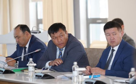 Түркістанда өндірістік парктер қарқынды дамып келеді: жүздеген жаңа кәсіпорын ашылып, өңірдің индустриялық әлеуеті күшейіп жатыр