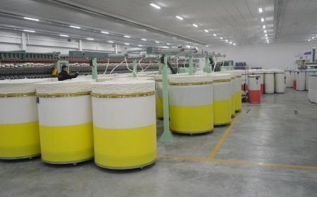 Түркістанның агроөнеркәсіптік серпіні: ауыл шаруашылығы 2,2 есе өсіп, өңір елдің азық-түлік қауіпсіздігінің тірегіне айналды