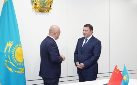 Түркістан облысында қуаты 300 МВт күн электр станциясы салынады