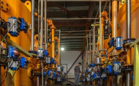 Түркістанның өндірістік серпіні: 8 жылда өнеркәсіп көлемі 3,6 есеге өсіп, өңір жаңа индустриялық даму кезеңіне шықты
