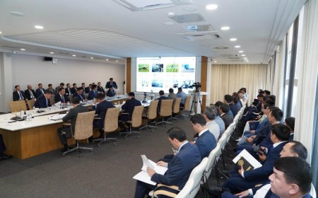Түркістанда кәсіпкерлік қарқынды дамып келеді: жаңа өндірістер, жеңілдетілген несиелер және мыңдаған жаңа жұмыс орны