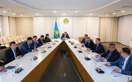 Түркістан облысында шегірткеге қарсы препараттардың сапасы қатаң бақылауға алынып, жұмыс жандана түсті