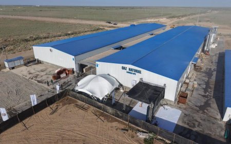Түркістанда ламинат өндіретін заманауи зауыт іске қосылды
