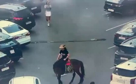 Бәйтерек маңында атпен жүрген ер адам жауапқа тартылды