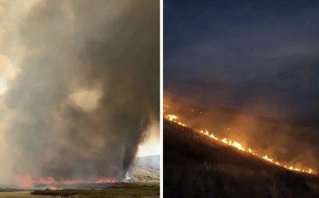 Қарағанды облысындағы алапат өртті тәулік бойы сөндіріп жатыр (ВИДЕО)