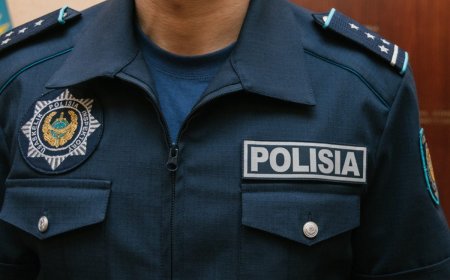 «Барни үшін сабаған»: Меркідегі келіншектің өліміне қатысты қылмыстық іс қозғалды