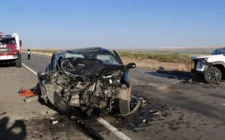 Қарағанды облысында Қырғызстанның екі азаматы қаза тапты