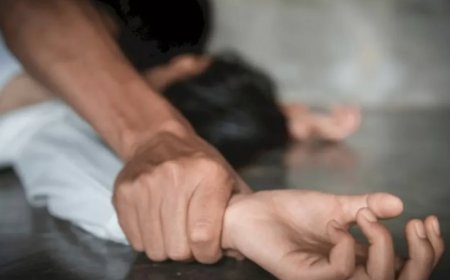 Алматыда күйеу баласы енесін зорлады деген күдікке ілінді