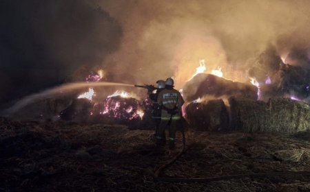 Ақмолада 75 тонна жем-шөп жанып кетті