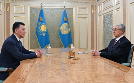 Мемлекет басшысы Вице-Президент Ерлан Қаринді қабылдады