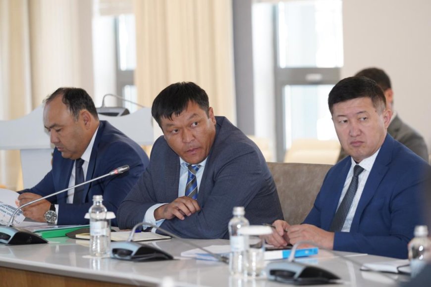 Түркістанда өндірістік парктер қарқынды дамып келеді: жүздеген жаңа кәсіпорын ашылып, өңірдің индустриялық әлеуеті күшейіп жатыр
