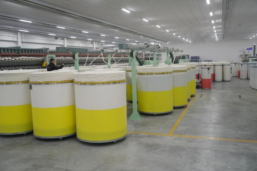 Түркістанның агроөнеркәсіптік серпіні: ауыл шаруашылығы 2,2 есе өсіп, өңір елдің азық-түлік қауіпсіздігінің тірегіне айналды