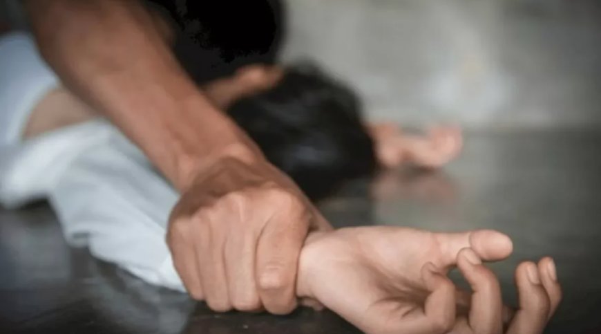 Алматыда күйеу баласы енесін зорлады деген күдікке ілінді